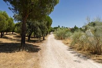 Nuevos 11 kilómetros de carril bici y sendas en Boadilla del Monte
