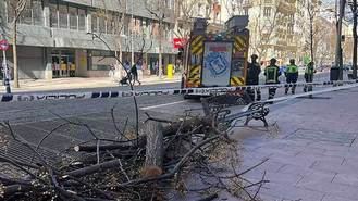 Bomberos de la Comunidad atendieron 288 avisos por el temporal de viento