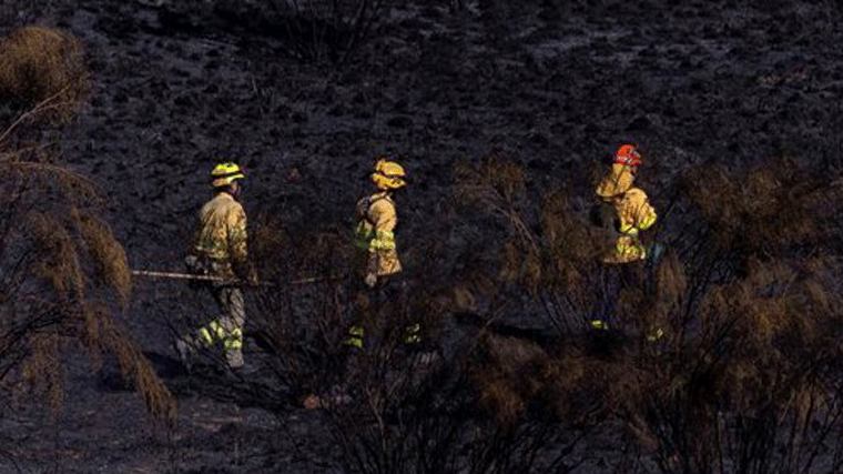 Las Brigadas Forestales de la Comunidad sabotean 16 bases en plena huelga
