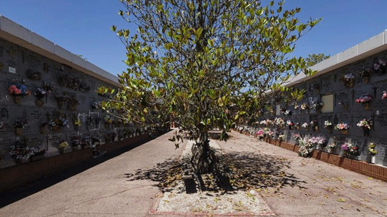 Roban crucifijos y elementos ornamentales de 74 tumbas del cementerio de Carabanchel