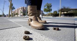 Las quejas por los escrementos de perro en las calles crecen un 20%