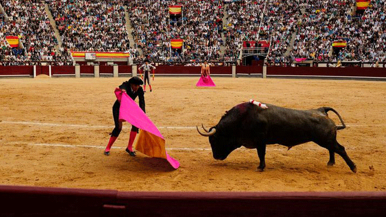 Ofensiva protaurina del PP: Iniciativa en la Asamblea a favor de los toros y reclama mantener el Premio Nacional