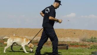 Organizado el `I Campus de trabajo con perro detector de estupefacientes´