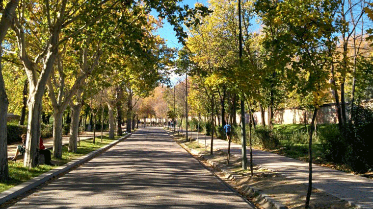 Golpean para robarle el móvil a un niño de 15 años de excursión con el colegio en la Casa de Campo