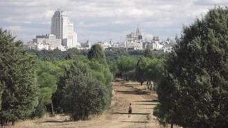 La Casa de Campo tiene ya habilitados 20 zonas y El Retiro abre dos de sus accesos