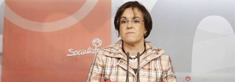 El PSOE pide a Carmena una investigación de los contratos con la Púnica