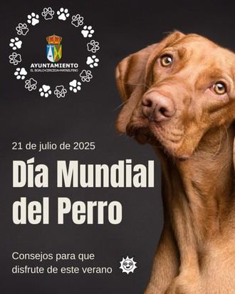 El Boalo celebra el Día Mundial del Perro con un enfoque en el bienestar animal