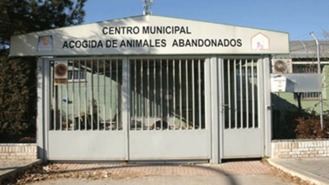 Una Asociación denuncia al Ayuntamiento por no hacerse cargo de un perro abandonado