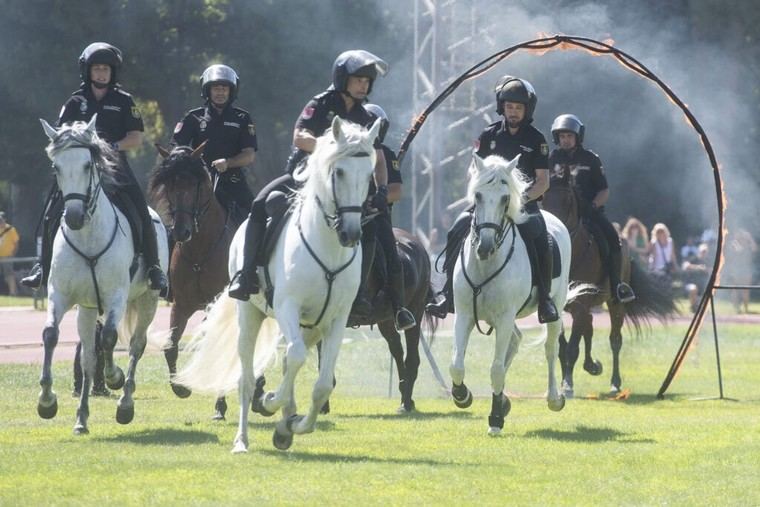 Éxito rotundo en la exhibición de las Fuerzas Armadas y cuerpos de seguridad en Alcalá