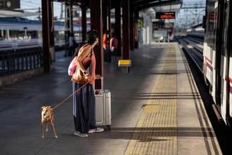 Cercanías no circulará por Chamartín este domingo hasta las 8 horas