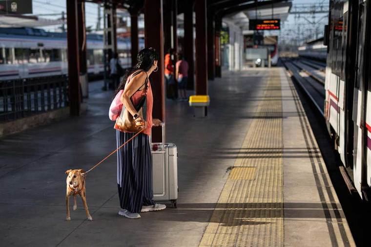 Cercanías no circulará por Chamartín este domingo hasta las 8 horas