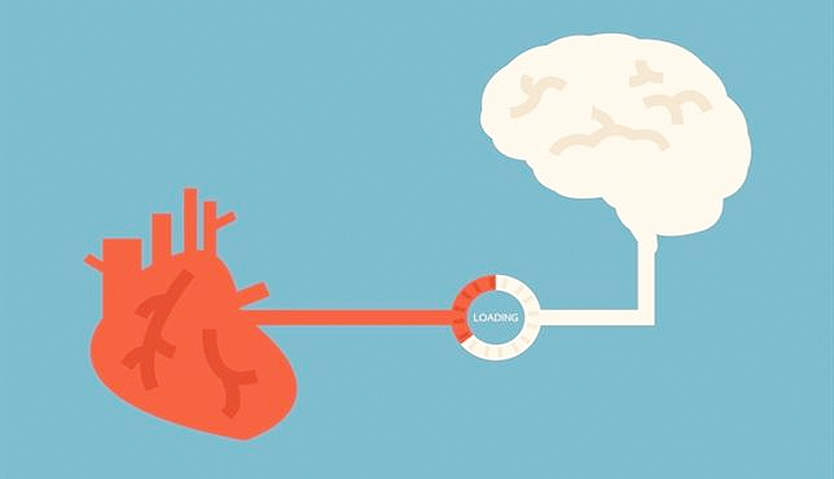 Cerebro y corazón se comunican antes de la muerte