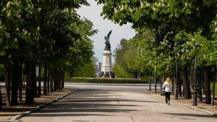 Madrid, reconocida por la FAO y Fundación Arbor Day, como Ciudad Arborea del Mundo