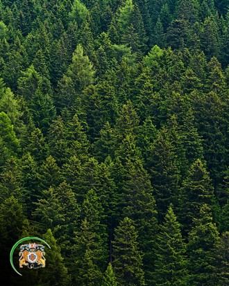 Protección Civil aclara su plan contra incendios forestales y desmiente rumores