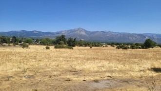 Reforestación de 250 fresnos en la Dehesa Vieja mediante convenio con el IMIDRA