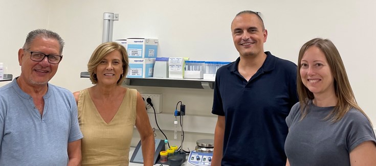 Efectos del veneno de abeja en el sistema vascular revelados por un estudio de la UAB