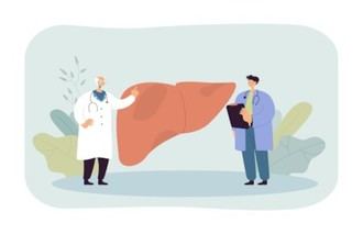 Nuevo hallazgo sobre cómo combatir el daño hepático por obesidad
