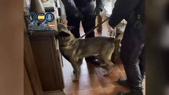 Cae una organización de trata de mujeres para su explotación sexual, tres detenidos