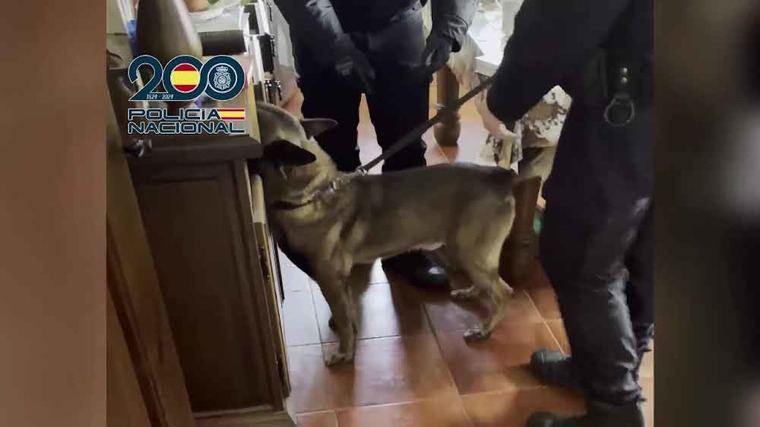 Cae una organización de trata de mujeres para su explotación sexual, tres detenidos