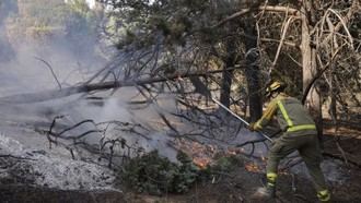 Plan de Recuperación del Paisaje para 17 municipios afectados por incendios en la Sierra Oeste de Madrid