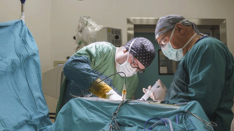 Entra en vigor la baja laboral especial para donantes vivos de órganos y médula