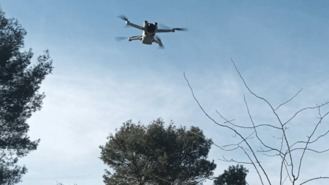 El Ayuntamiento comienza a usar drones e IA para dar caza a la oruga procesionaria en la copa de los árboles