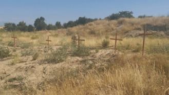 Ecologistas exigen al Ayuntamiento que reponga los àrboles de Montecarmelo y denuncia la muerte de 70 ejemplares