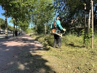 Intensifican el desbroce de espacios públicos en Alcalá de Henares