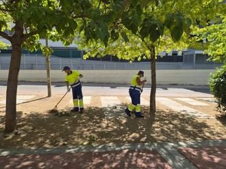 Intensificación de limpieza y mantenimiento en parques locales
