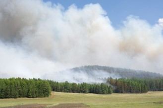 Medidas notariales para ayudar a víctimas de incendios forestales