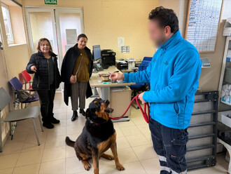 Reforma del Centro de Protección Animal para mejorar el bienestar de los animales acogidos