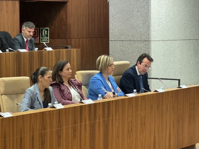 Más de 20 proyectos para transformar la ciudad se presentan en el Pleno Extraordinario