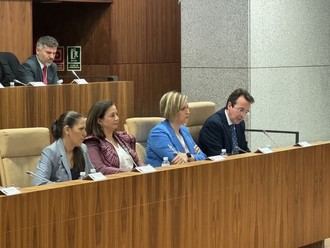 Más de 20 proyectos para transformar la ciudad se presentan en el Pleno Extraordinario