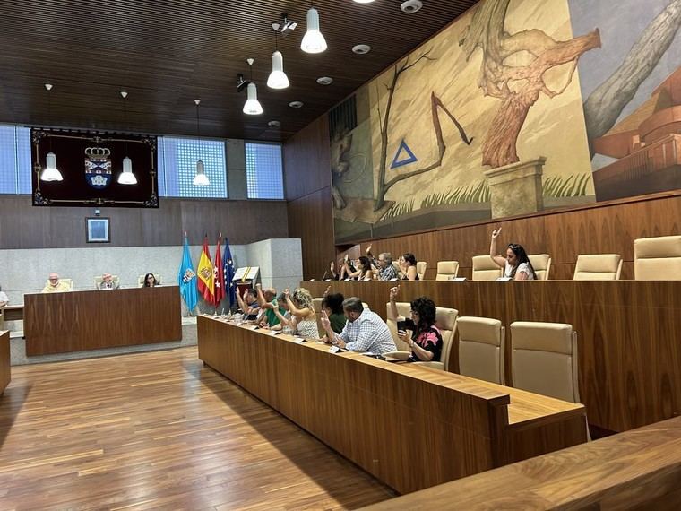 Oposición rechaza más de 20 proyectos de mejora sin debate en el Pleno Extraordinario