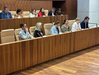 Inversiones por casi 19 millones en el pleno para mejorar la ciudad, a la espera de apoyo opositor