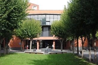 UC3M recibe el Premio Nacional de Discapacidad Reina Letizia en investigación e innovación