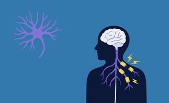Colaboración entre ISCIII y EME para investigar la esclerosis múltiple