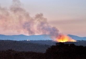 El Notariado implementa medidas urgentes para ayudar a víctimas de incendios forestales