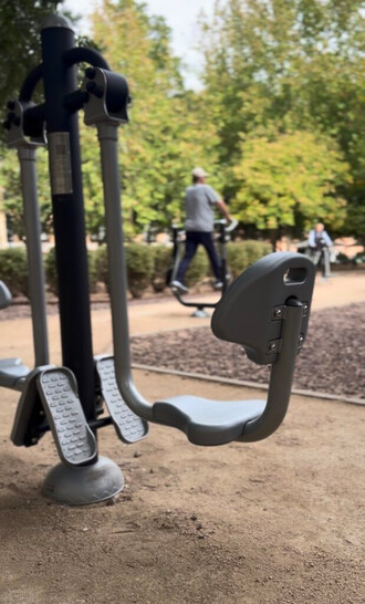 Renovación de elementos biosaludables en el Parque de Pavía con 22.000 euros de inversión