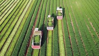 Abren solicitudes para 16 estancias formativas en agricultura y ganadería