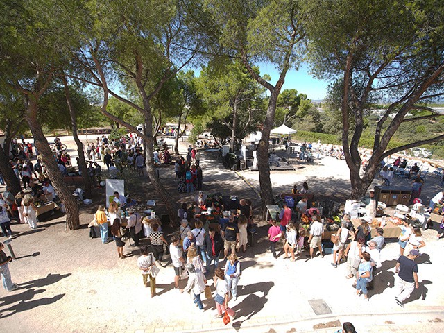 Cerca de 4.000 participantes en el cierre del programa de Educación Ambiental