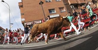 Sexto encierro en San Sebastián de los Reyes: velocidad y tensión entre los toros de Pinto Barreiros