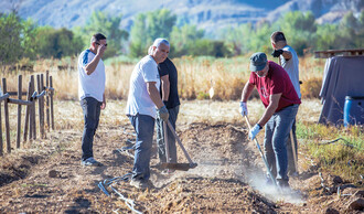 Terreno disponible en el Soto del Grillo para emprendedores agrícolas