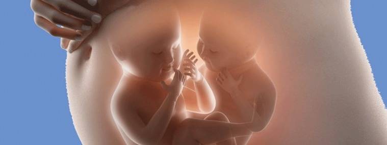 La implantación de varios embriones aumenta los riesgos del embarazo
