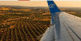 España inicia producción de combustibles sostenibles para aviación