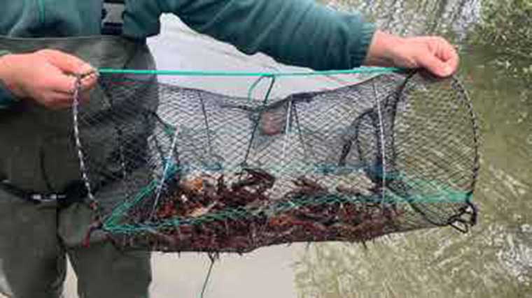 Imagen, Comunidad de Madrid