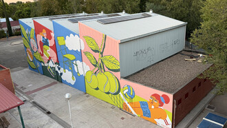 Murales transforman fachadas escolares en Rivas con arte urbano