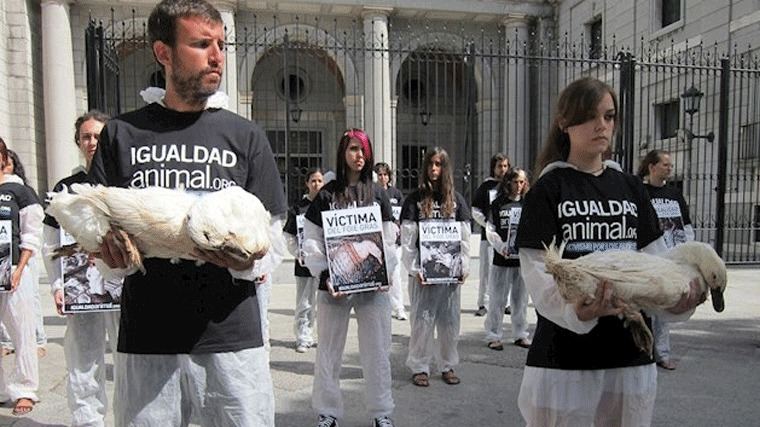 Animalistas, protesta este sábado en Callao contra la producción de foie gras