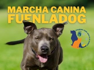I Marcha Canina en Fuenlabrada para promover la adopción de mascotas