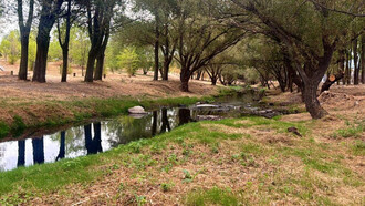 Limpieza del río Guadarrama mejora su cauce antes de las lluvias